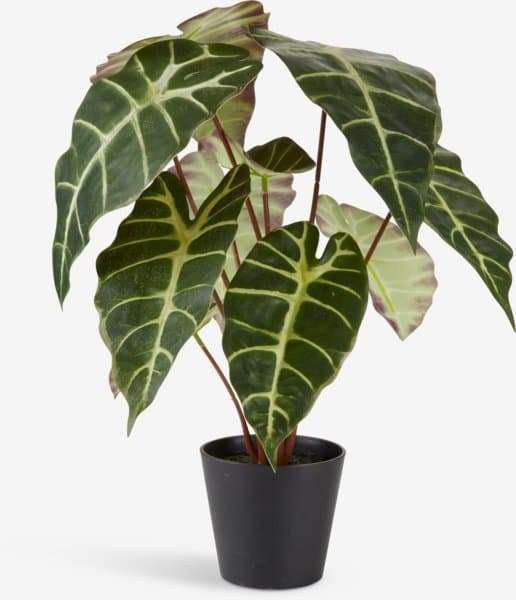 JYSK Plante artificielle MARIUS Ø38xH42cm