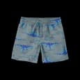 Short De Bain Garçon Carter's - Dinosaure chez Wlidaty
